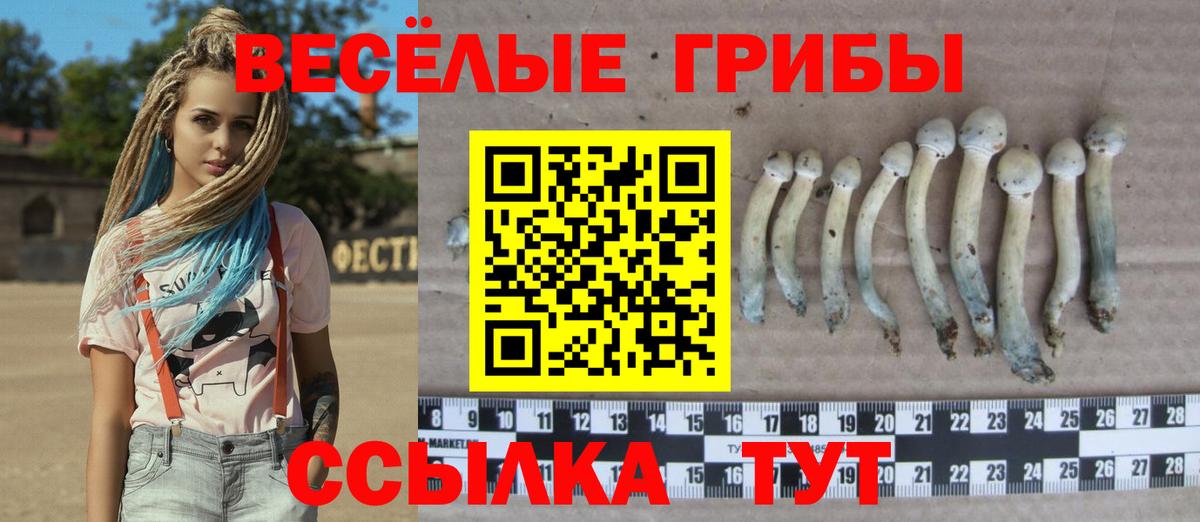 МАРИХУАНА Избербаш