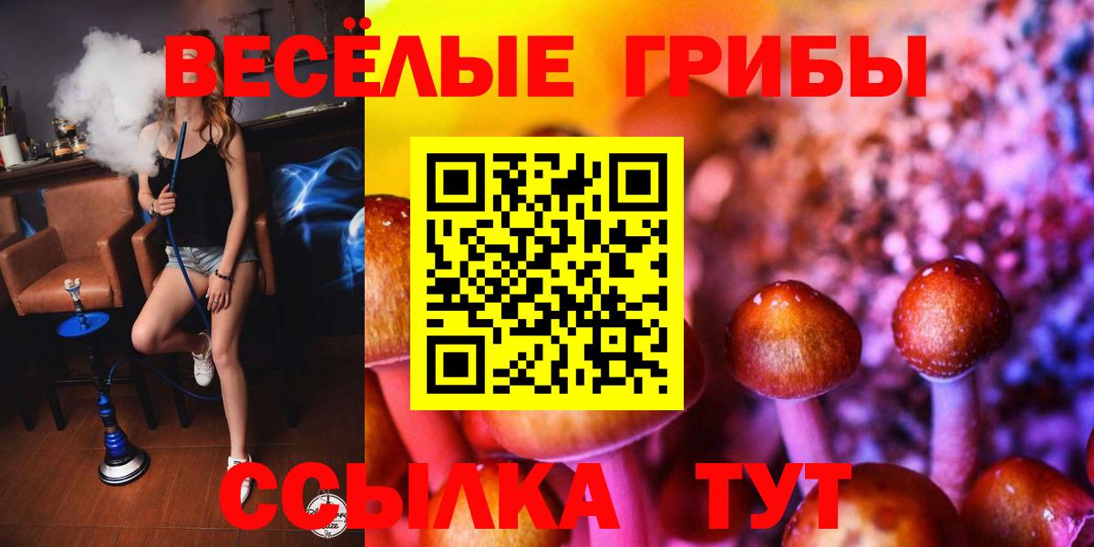 Псилоцибиновые грибы Psilocybe Избербаш