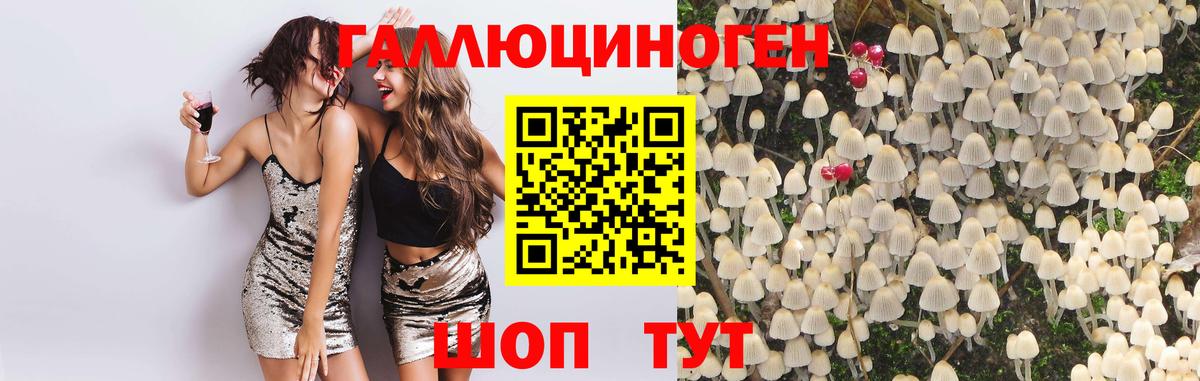 Избербаш  Галлюциногенные грибы MAGIC MUSHROOMS  Вход с VPN 